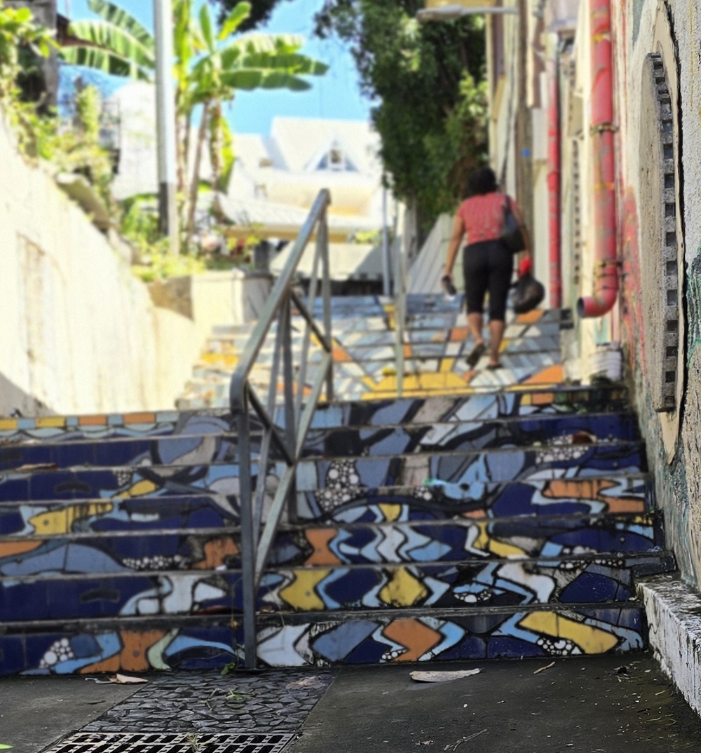 2026-01-28-D Basse-Terre_Guadeloupe 20260128_105538_ji.jpg